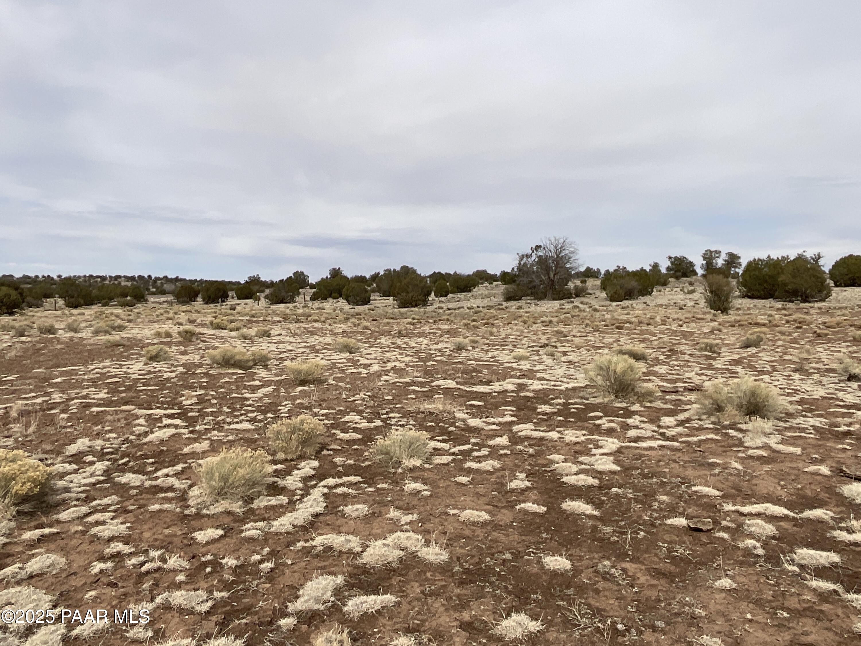 84 A Ravens Rest Road Seligman, AZ 86337 - Photo 6 of 10 IMG_3928