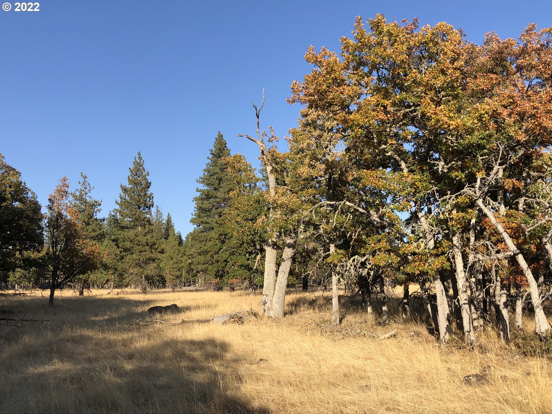 4 England Goldendale, WA 98620 - Photo 4 of 5 Gallery Image 4