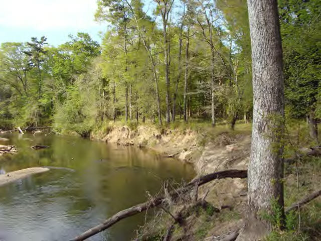 Xxx River Road South Summit, MS 39666 - Photo 1 of 1 Main View