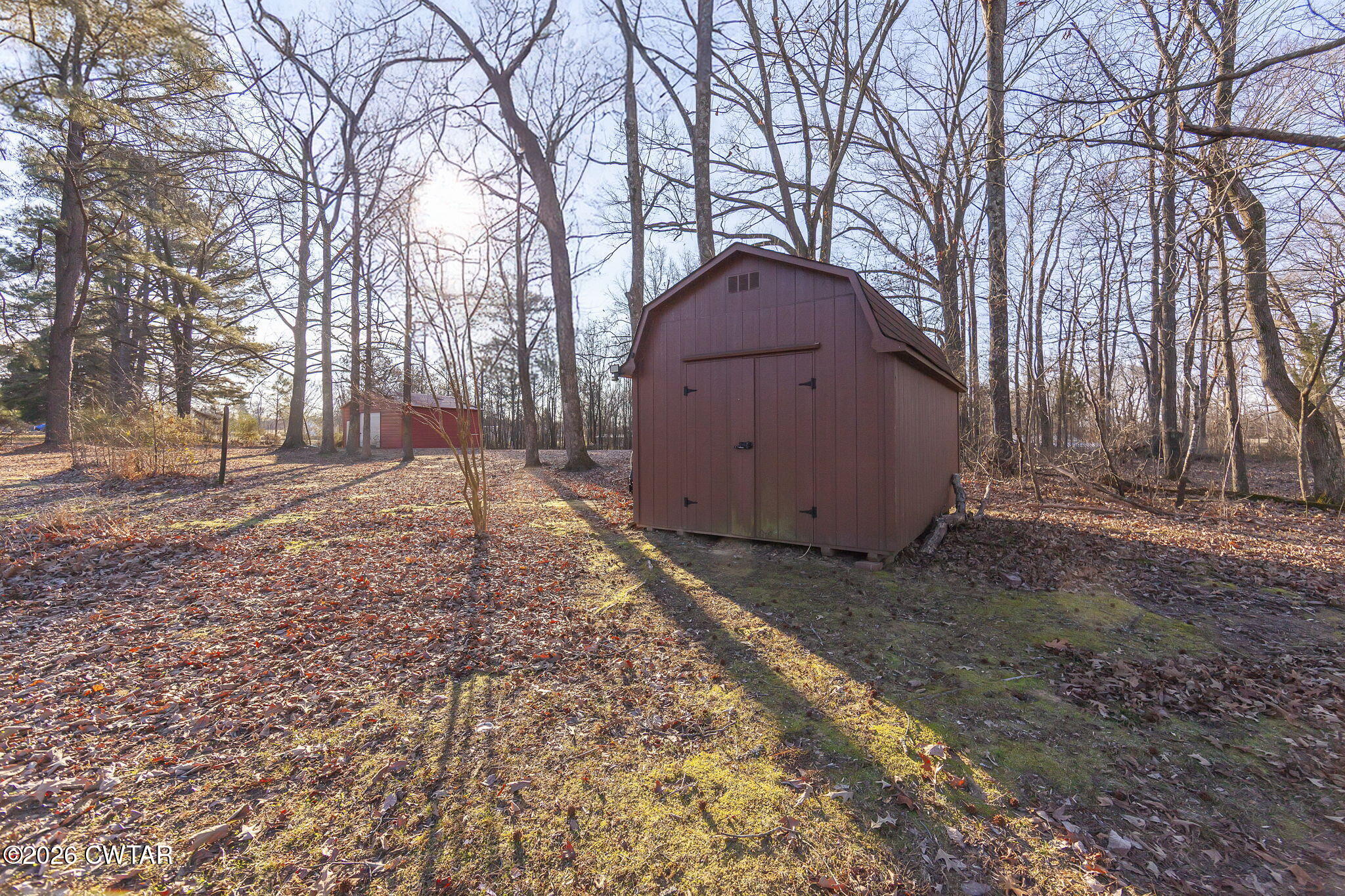 250 Collins Road Dresden, TN 38225 - Photo 42 of 43 a view of a backyard with large trees