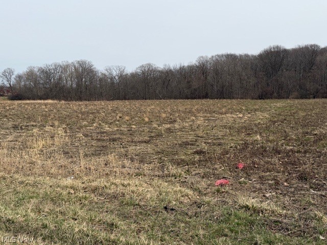 South Madison Road Madison, OH 44057 - Photo 10 of 12
