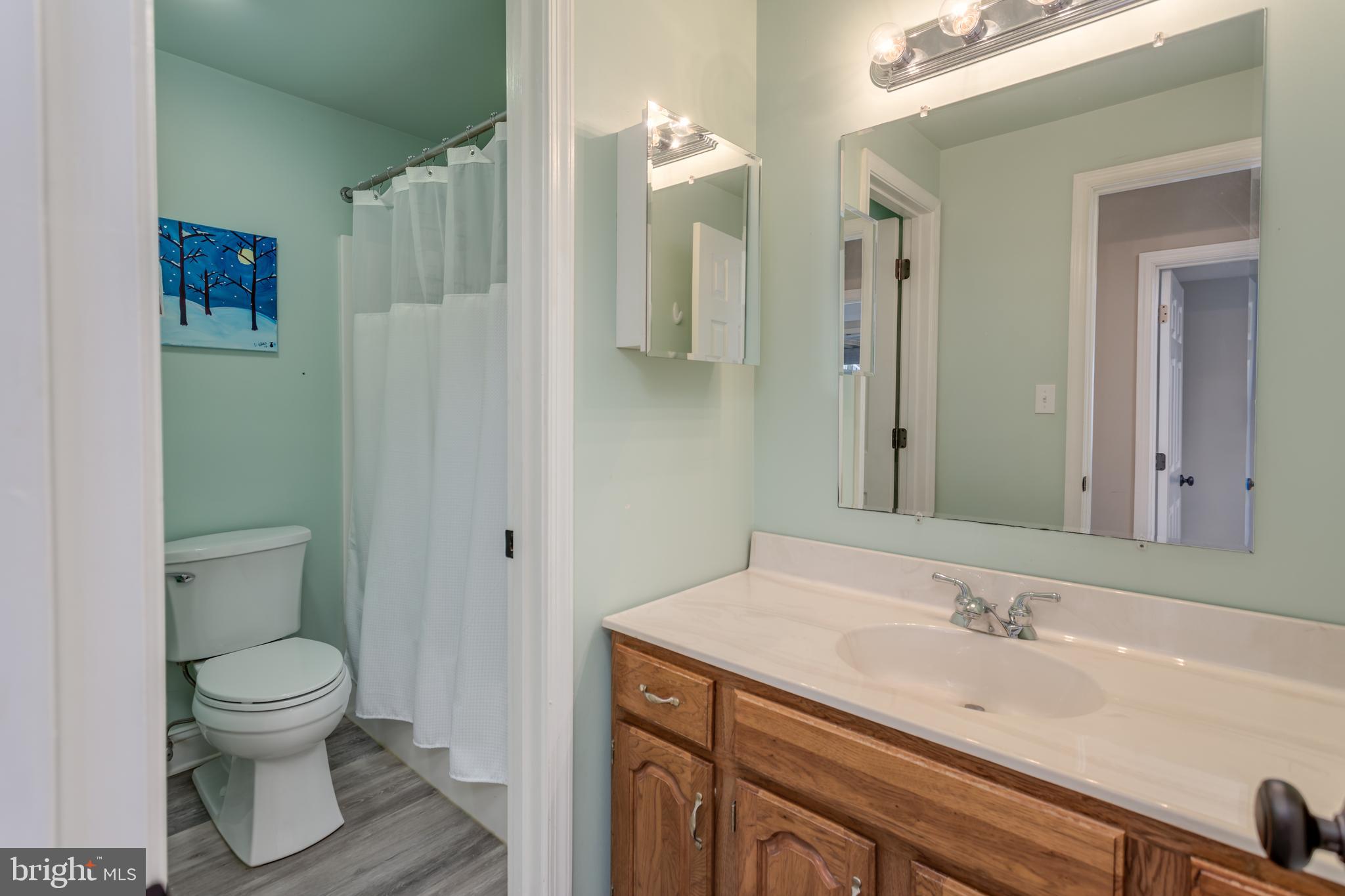 299 Huntersridge Road Winchester, VA 22602 - Photo 42 of 55 Full Bath on lower level