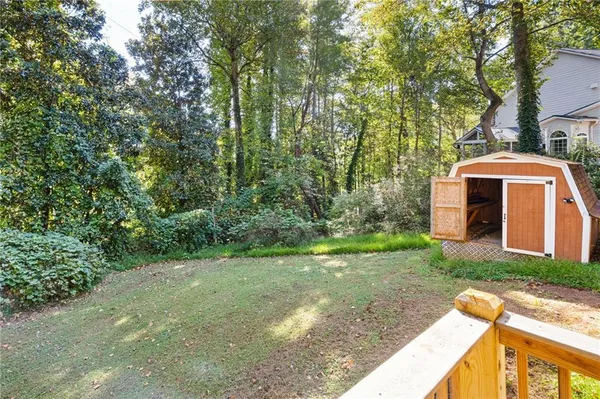 a view of a yard with plants and large trees