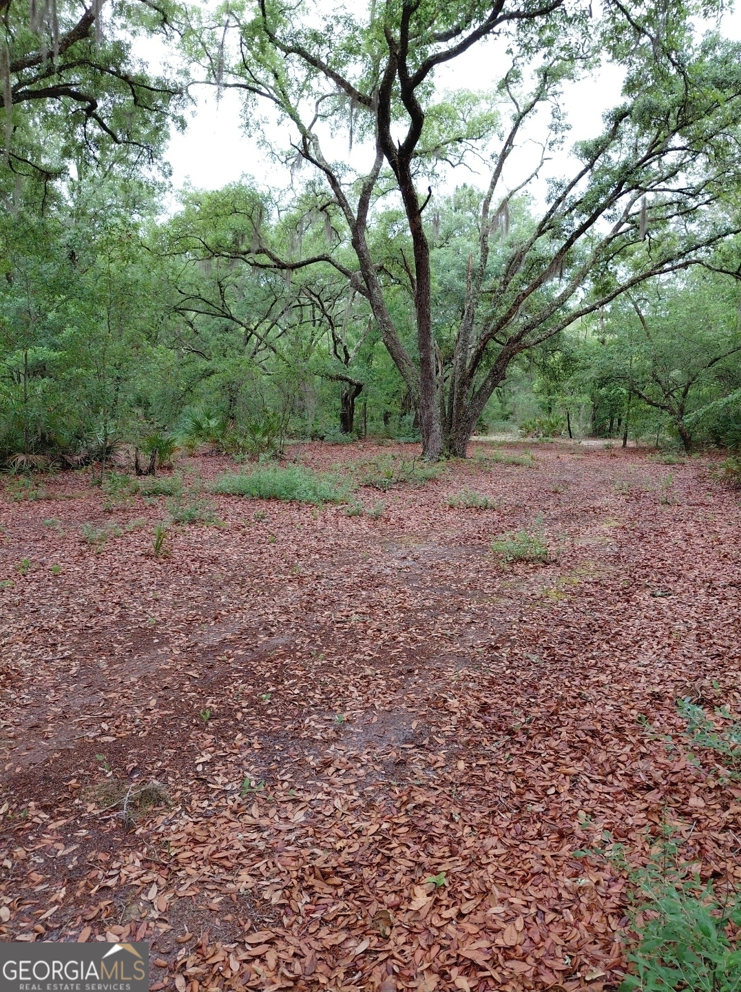 779 Ralph Davis Road, Unit 1 LAND LOT Folkston, GA 31537 - Photo 10 of 28 a view of an outdoor space with yard