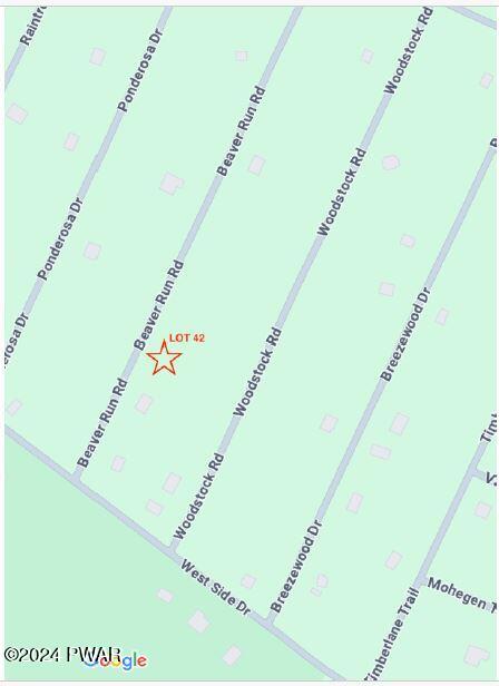 Lot 42 Beaver Run Road Newfoundland, PA 18445 - Photo 12 of 12