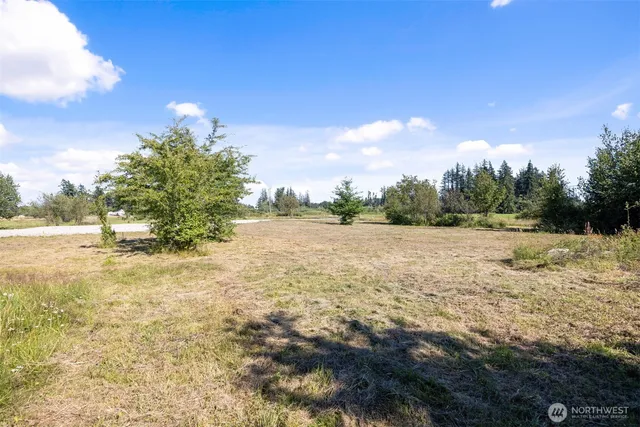$425,000 | 3580 Arnie Road, Custer, WA 98240
