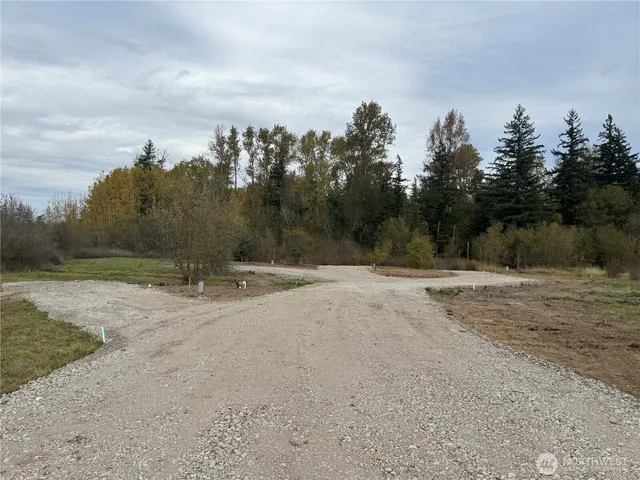 $425,000 | 3580 Arnie Road, Custer, WA 98240