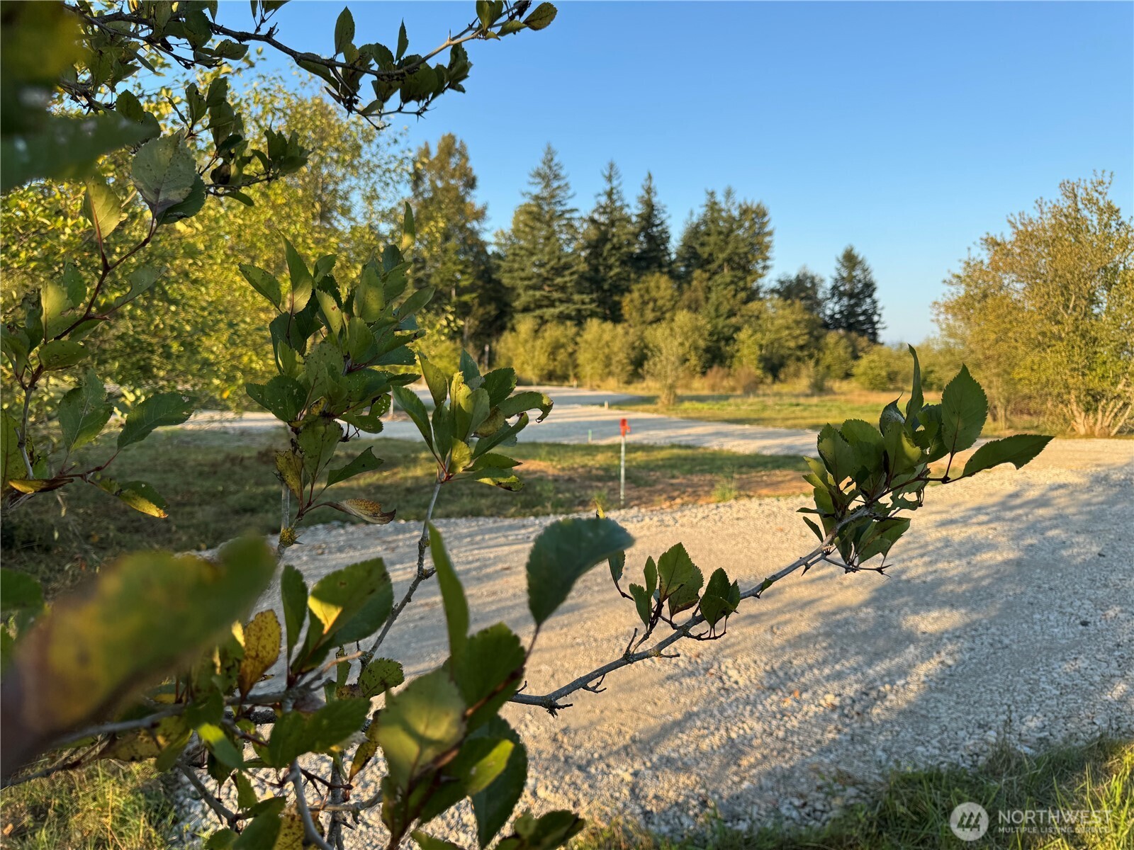 3580 Arnie Road Custer, WA 98240 - Photo 3 of 25