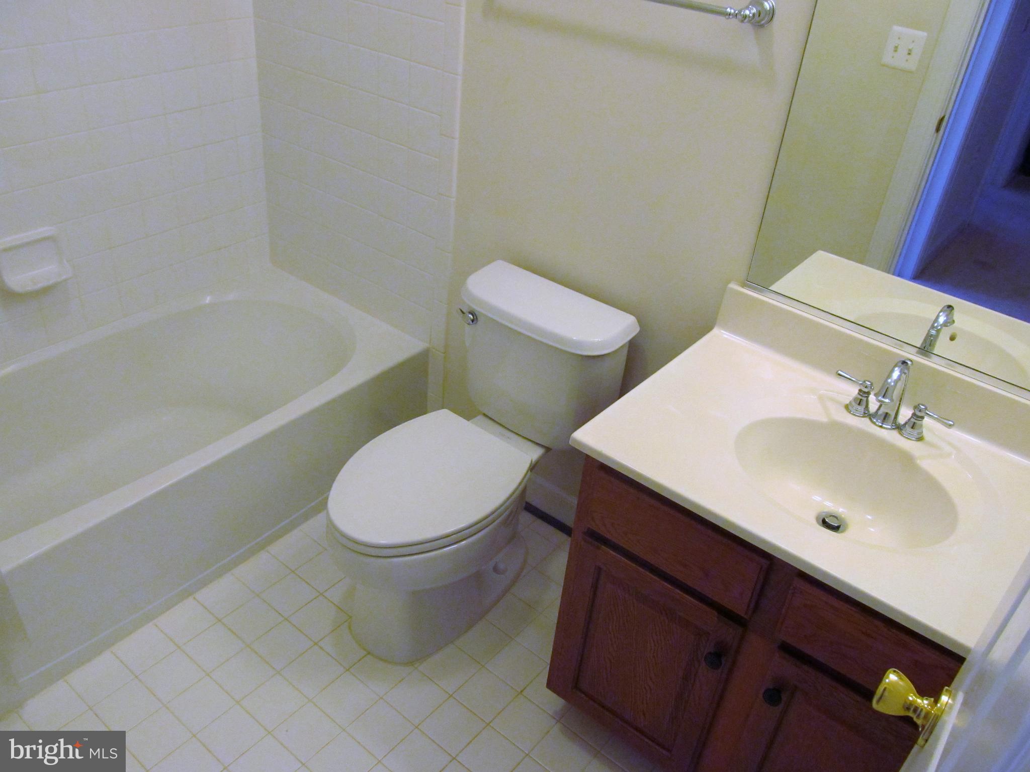 2511 Pascal Place Herndon, VA 20171 - Photo 14 of 30 hall bath