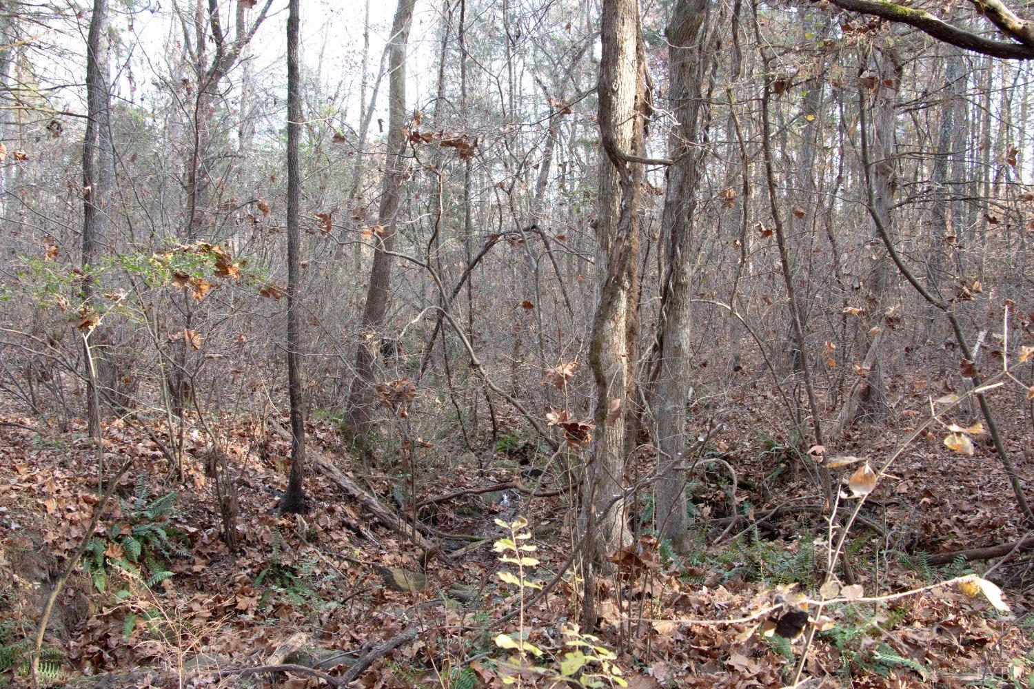 5378 Collins Ferry Road Gladys, VA 24554 - Photo 13 of 14 Gallery Image 13