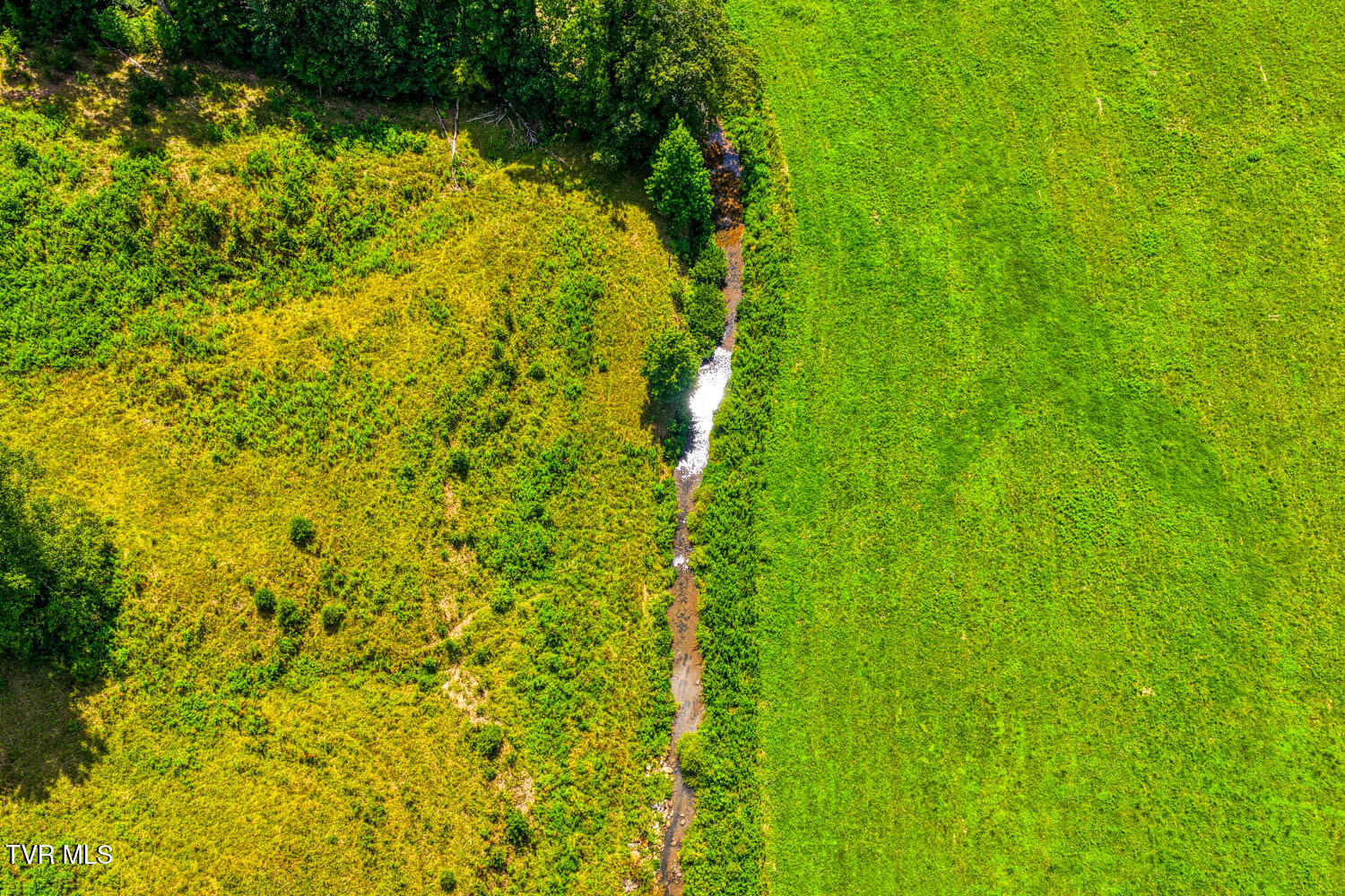 1144 Poor Valley Road Rogersville, TN 37857 - Photo 31 of 113 1144 Poor V. Rog MLSa (35 of 77)