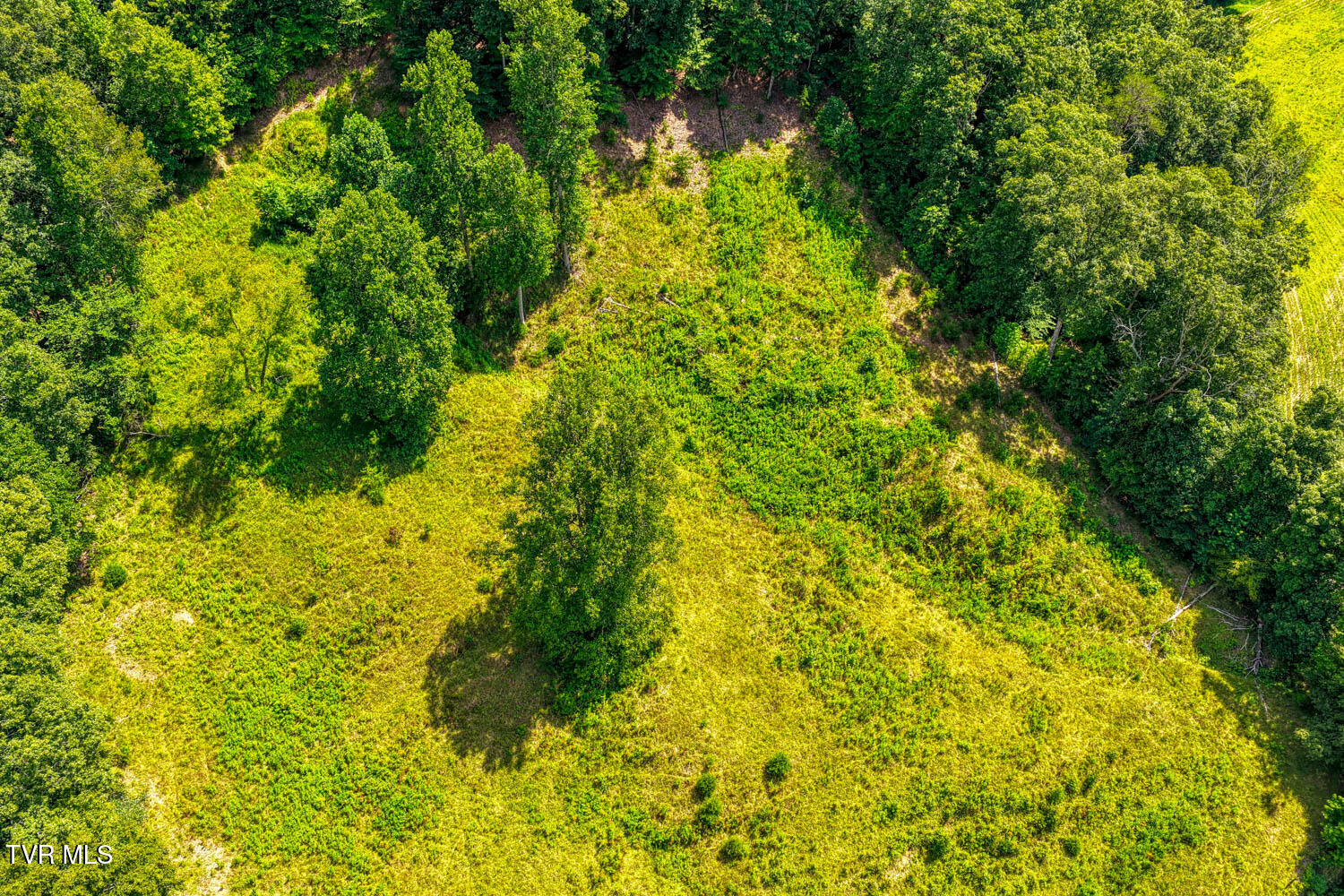 1144 Poor Valley Road Rogersville, TN 37857 - Photo 32 of 113 1144 Poor V. Rog MLSa (36 of 77)