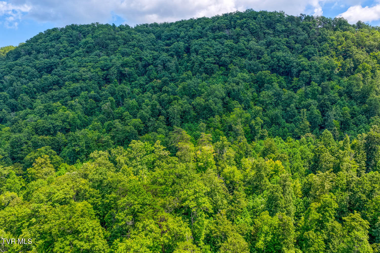 1144 Poor Valley Road Rogersville, TN 37857 - Photo 33 of 113 1144 Poor V. Rog MLSa (37 of 77)