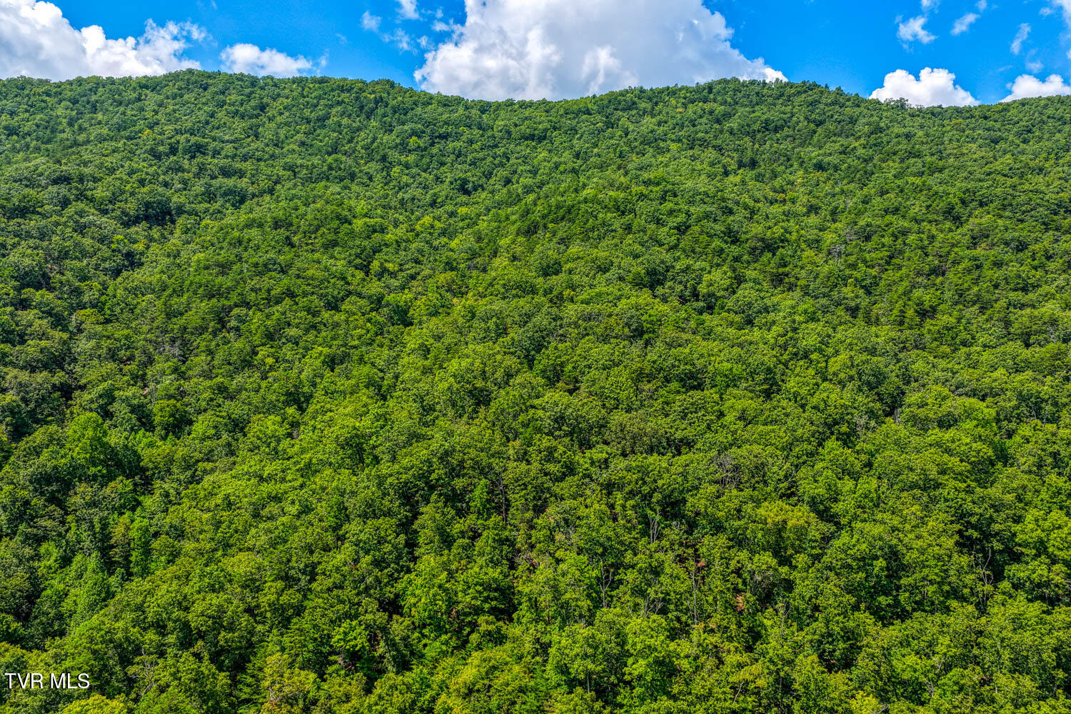 1144 Poor Valley Road Rogersville, TN 37857 - Photo 36 of 113 1144 Poor V. Rog MLSa (40 of 77)