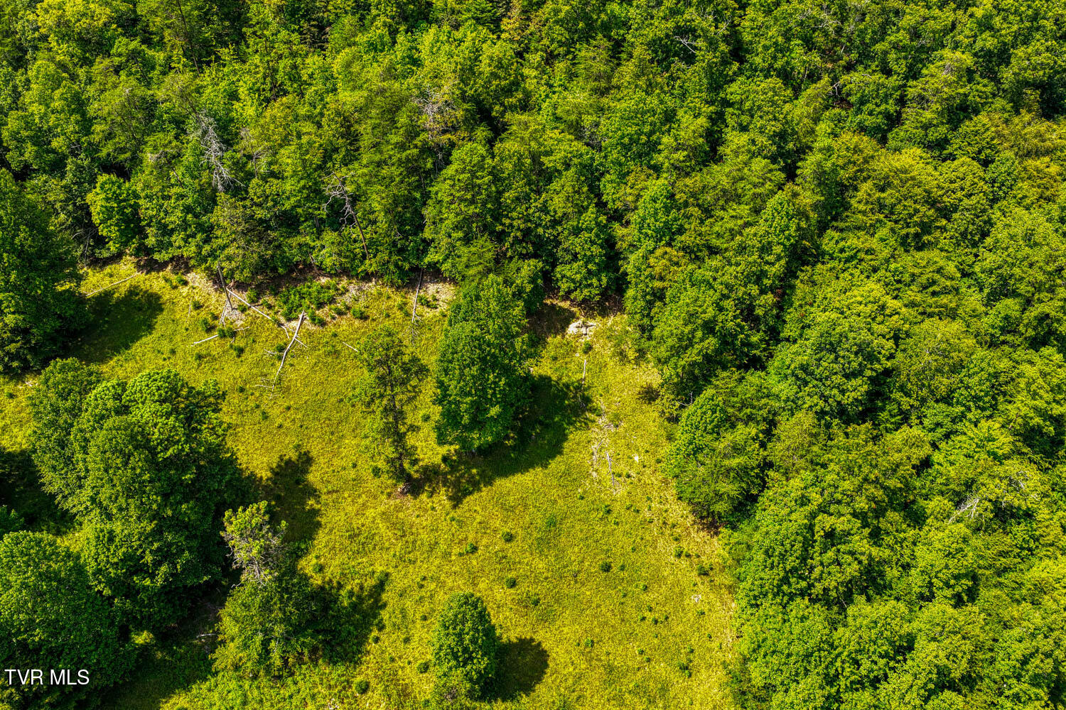 1144 Poor Valley Road Rogersville, TN 37857 - Photo 37 of 113 1144 Poor V. Rog MLSa (41 of 77)