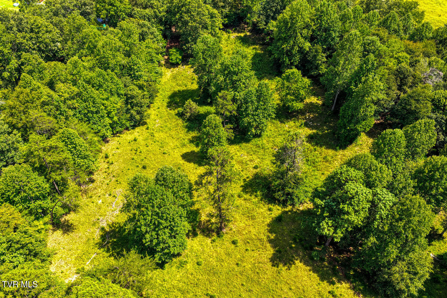 1144 Poor Valley Road Rogersville, TN 37857 - Photo 41 of 113 1144 Poor V. Rog MLSa (45 of 77)