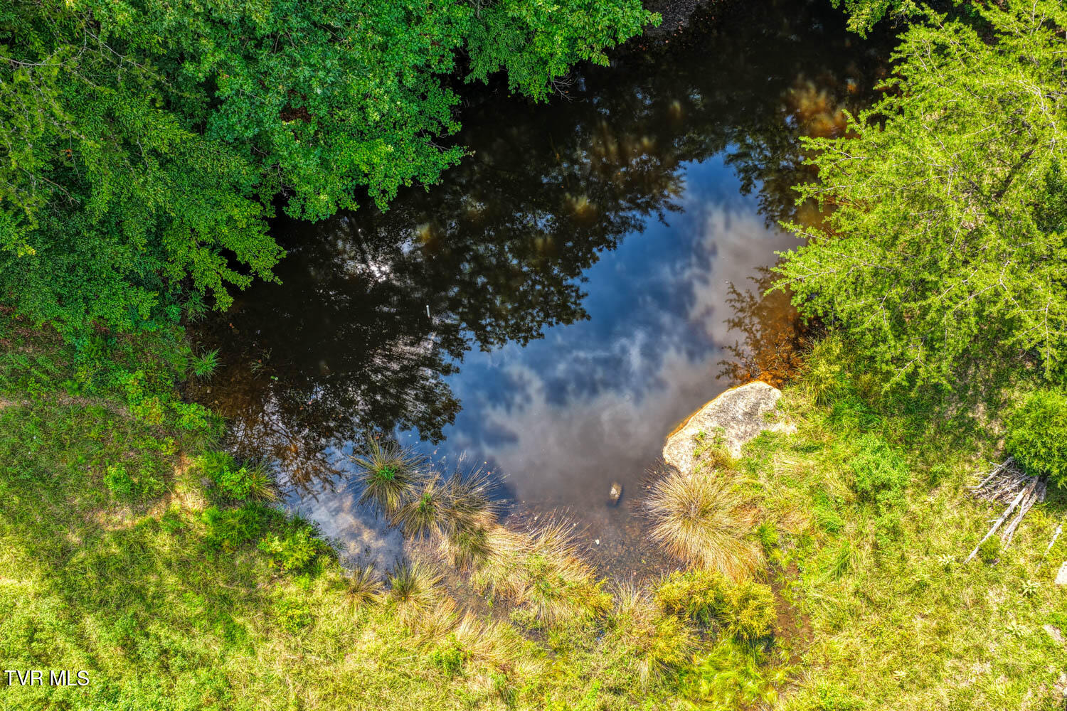 1144 Poor Valley Road Rogersville, TN 37857 - Photo 43 of 113 1144 Poor V. Rog MLSa (47 of 77)