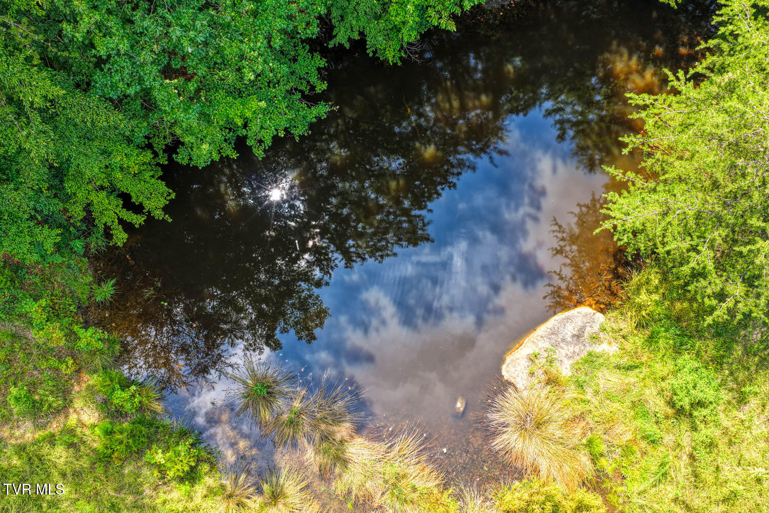 1144 Poor Valley Road Rogersville, TN 37857 - Photo 44 of 113 1144 Poor V. Rog MLSa (48 of 77)