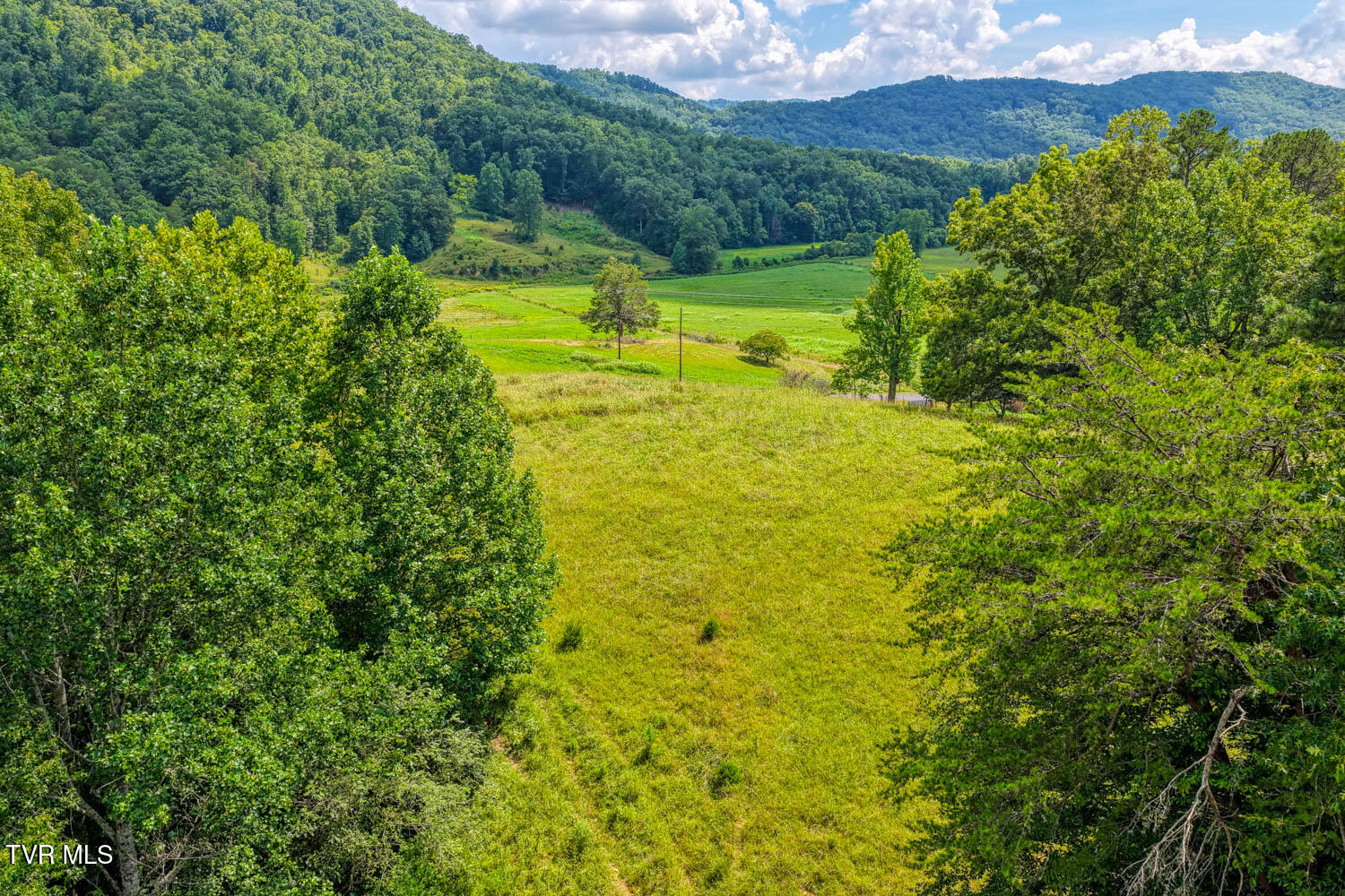 1144 Poor Valley Road Rogersville, TN 37857 - Photo 45 of 113 1144 Poor V. Rog MLSa (49 of 77)