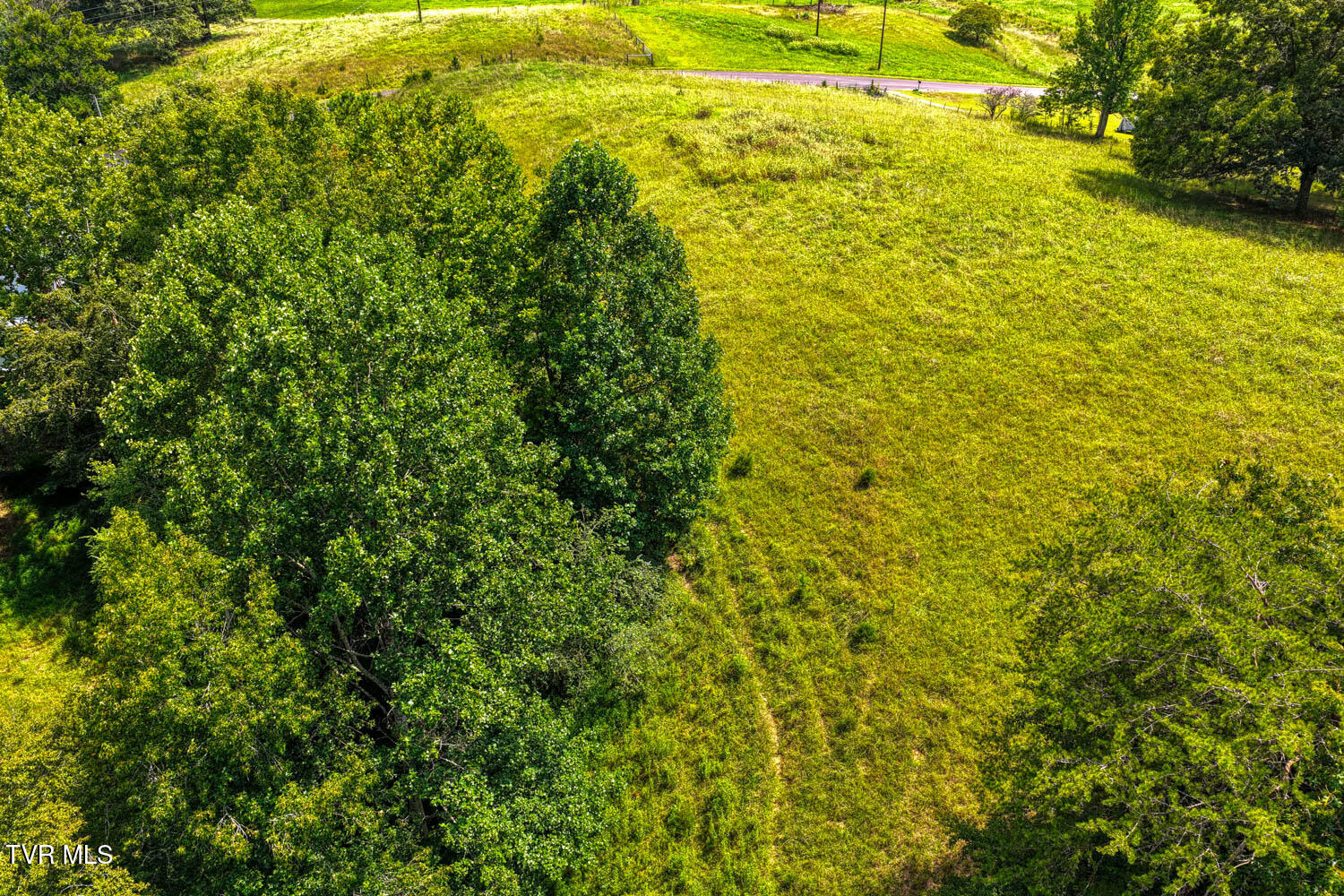 1144 Poor Valley Road Rogersville, TN 37857 - Photo 46 of 113 1144 Poor V. Rog MLSa (50 of 77)