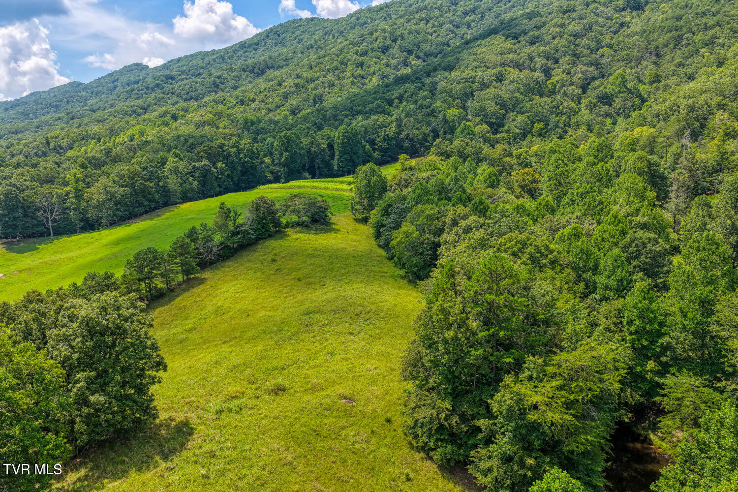1144 Poor Valley Road Rogersville, TN 37857 - Photo 51 of 113 1144 Poor V. Rog MLSa (55 of 77)