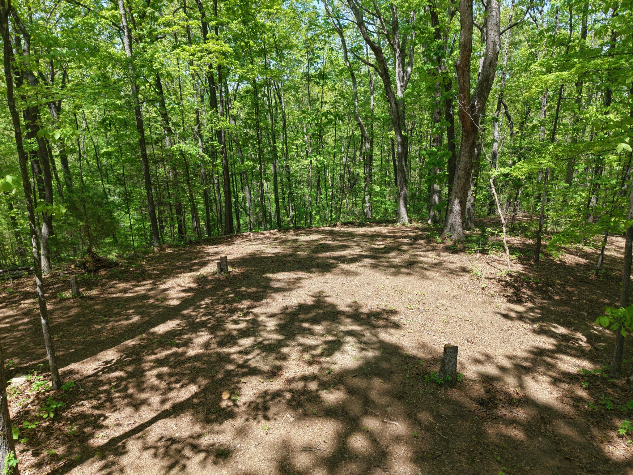 0 Sloans Gap Road Ocoee, TN 37361 - Photo 12 of 12