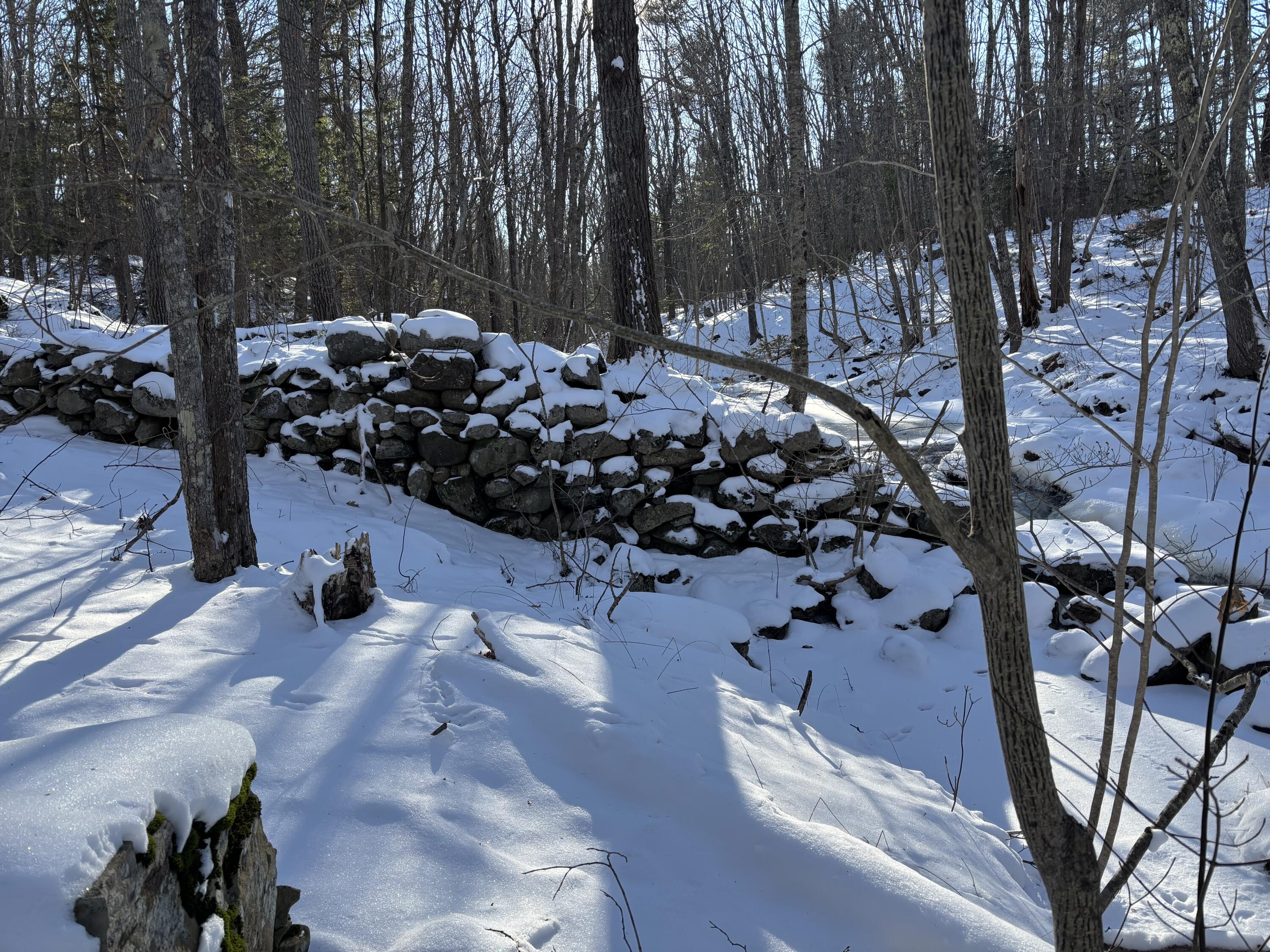 5 Morrison Road Round Pond, ME 04564 - Photo 39 of 46 Winter