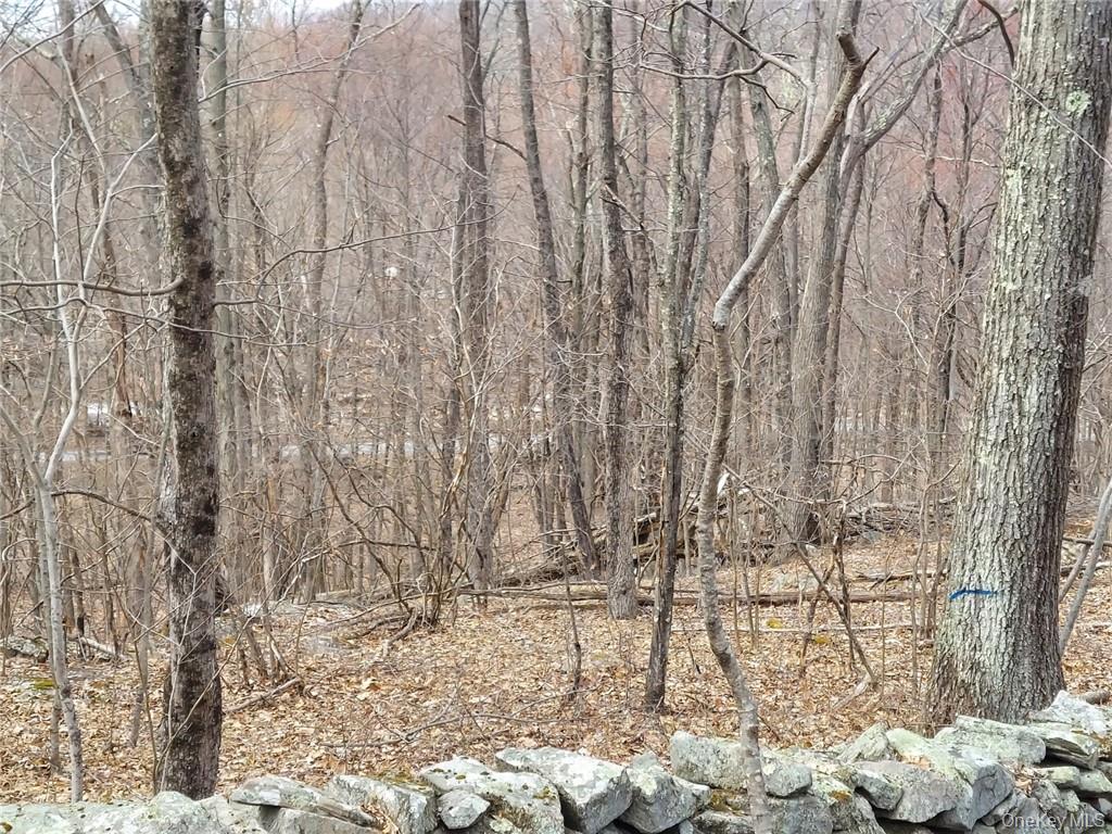 489 Grape Hollow Road Holmes, NY 12531 - Photo 15 of 24 Gallery Image 15