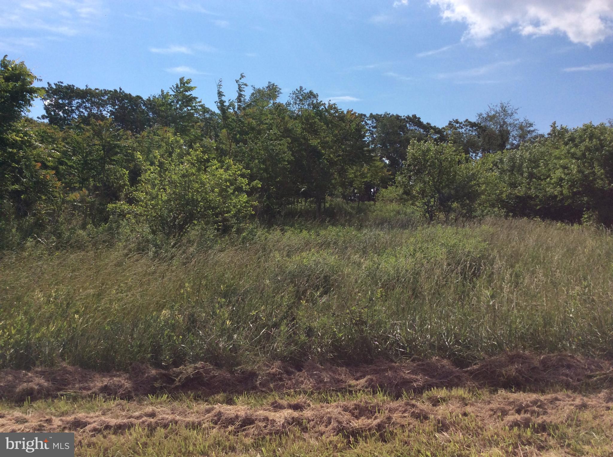 Sharretts Road Keymar, MD 21757 - Photo 1 of 2 front lot view