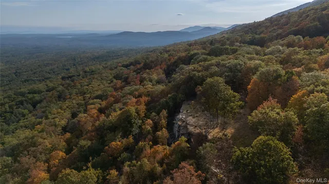an aerial view of residential house and green space