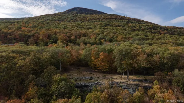 a view of outdoor space and garden