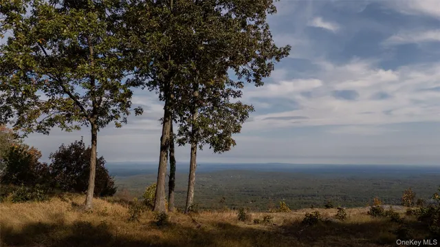 a view of a lake view