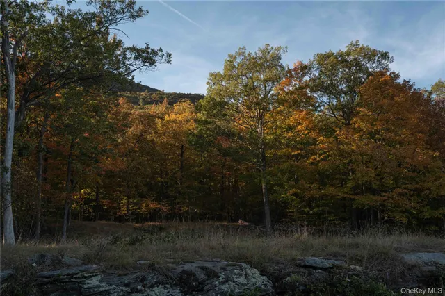 a view of outdoor space and trees all around