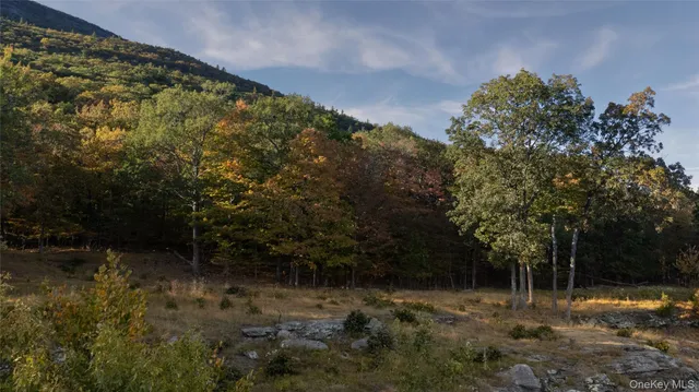 a view of lake with mountain