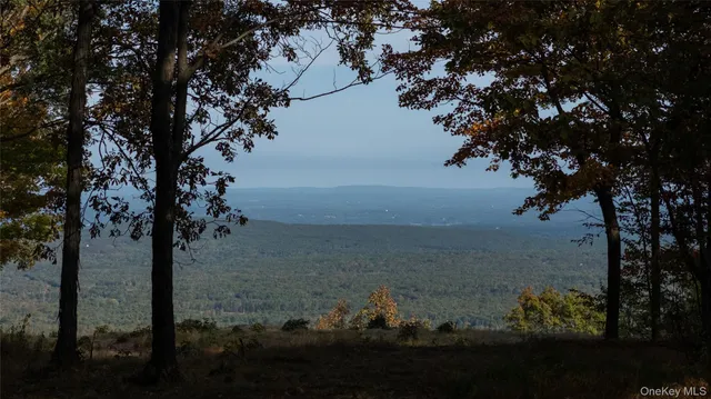 a view of a yard next to a lake