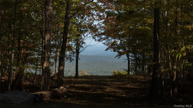 a view of a yard with plants and trees