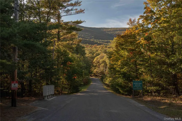 an aerial view of house with yard