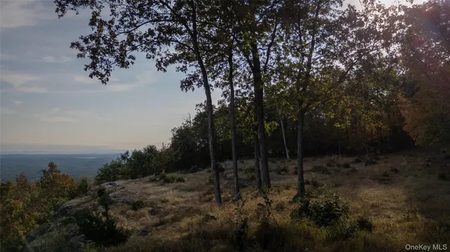 a view of outdoor space and yard