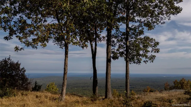 an aerial view of residential house and green space