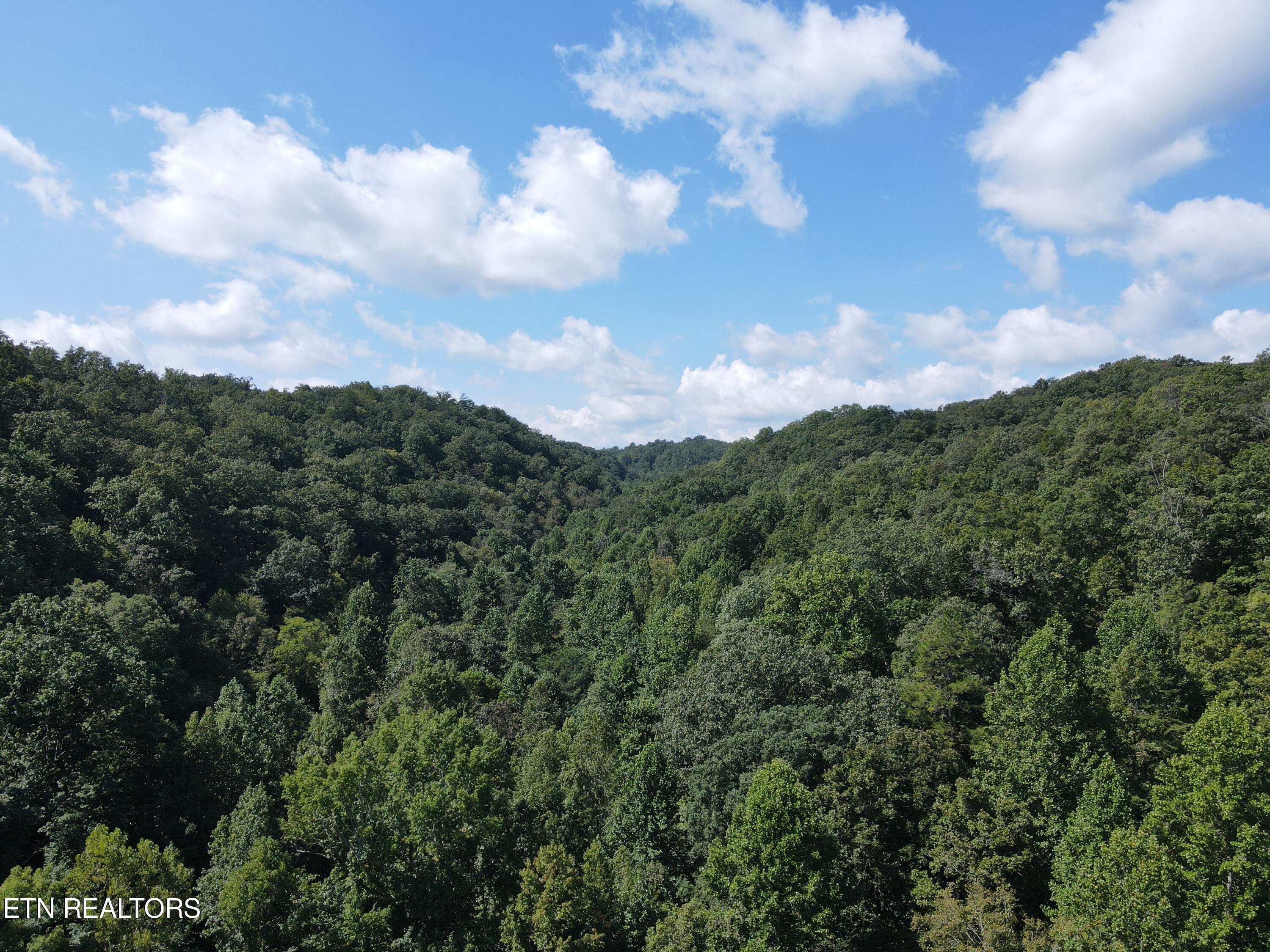 Porterfield Gap Road Seymour, TN 37865 - Photo 1 of 16 DJI_0304