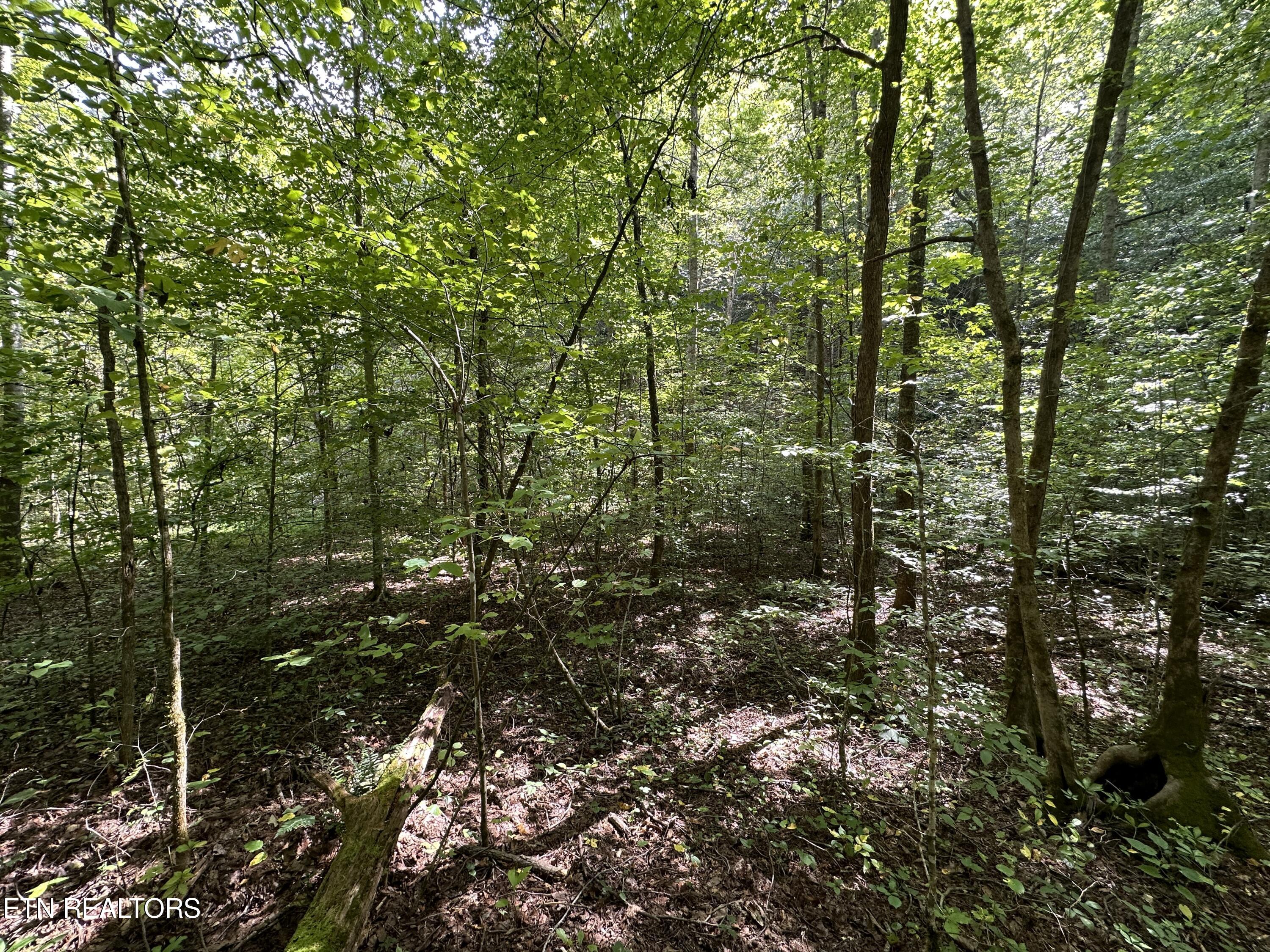 Porterfield Gap Road Seymour, TN 37865 - Photo 12 of 16 IMG_2187