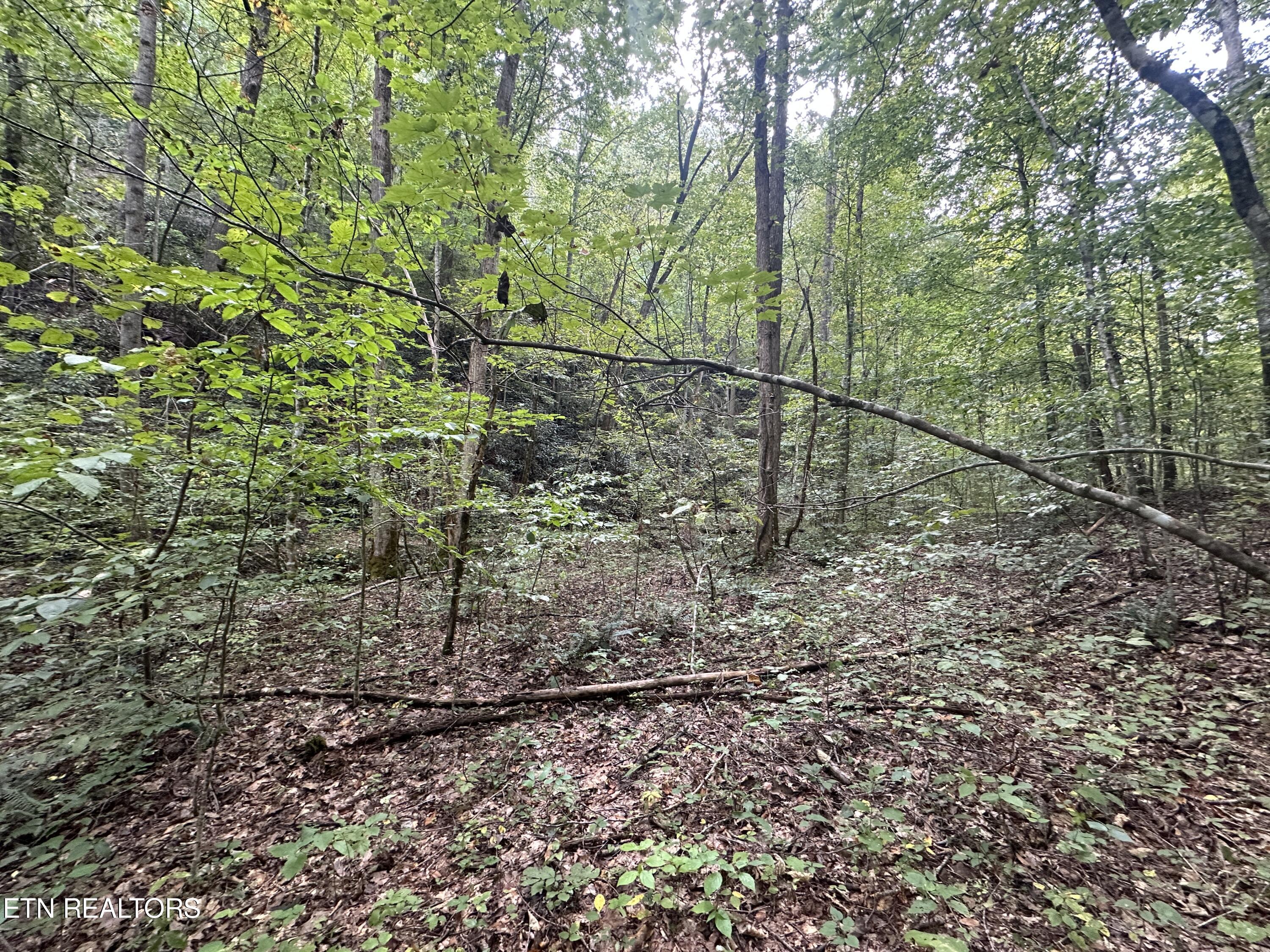 Porterfield Gap Road Seymour, TN 37865 - Photo 15 of 16 IMG_2191