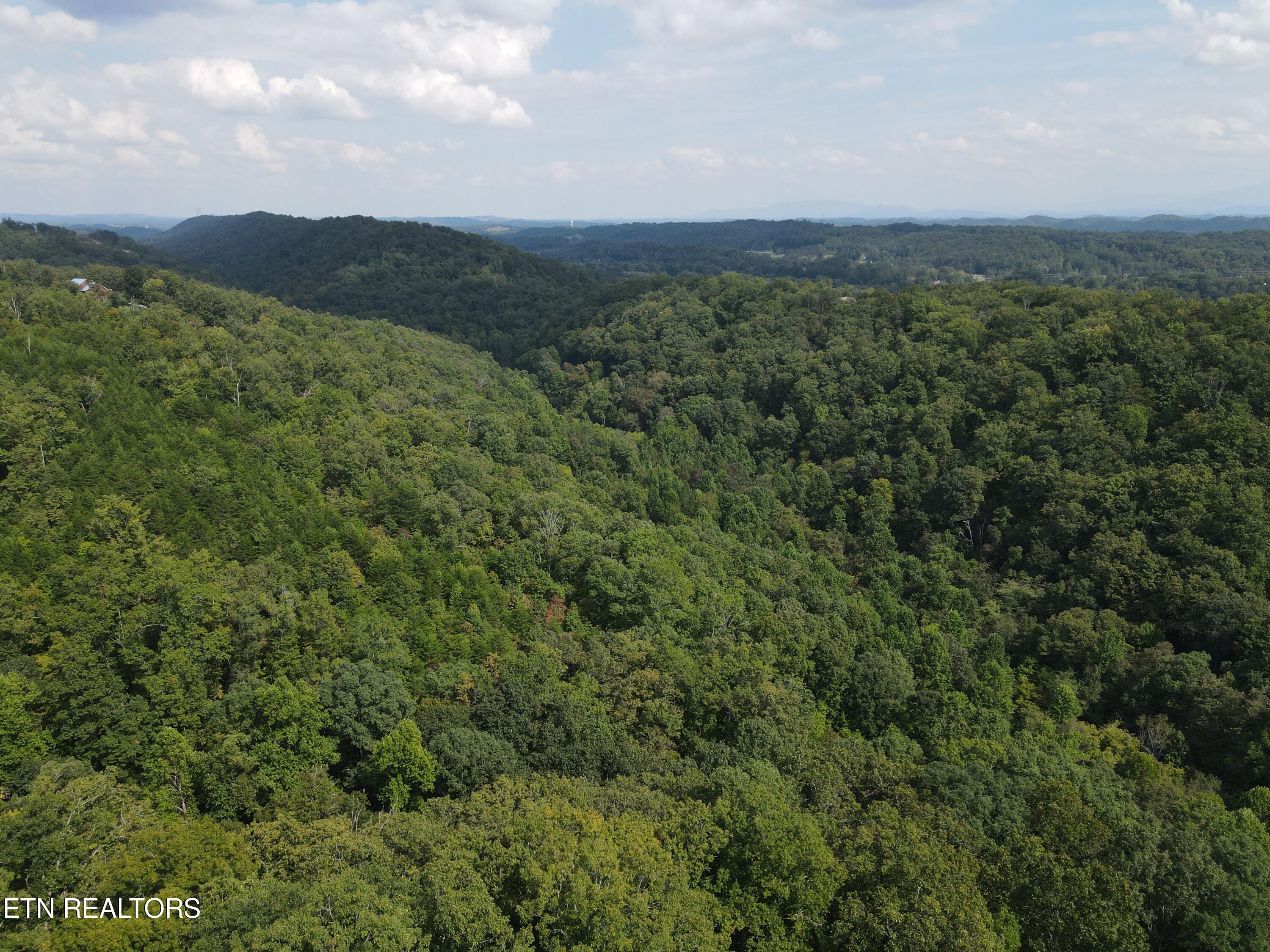 Porterfield Gap Road Seymour, TN 37865 - Photo 2 of 16 DJI_0316