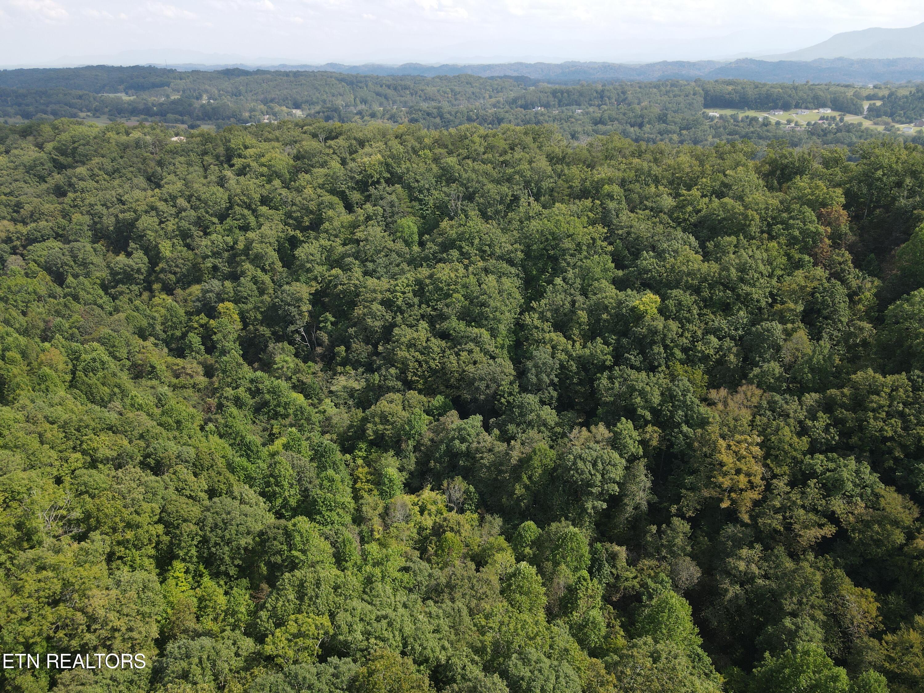 Porterfield Gap Road Seymour, TN 37865 - Photo 3 of 16 DJI_0317