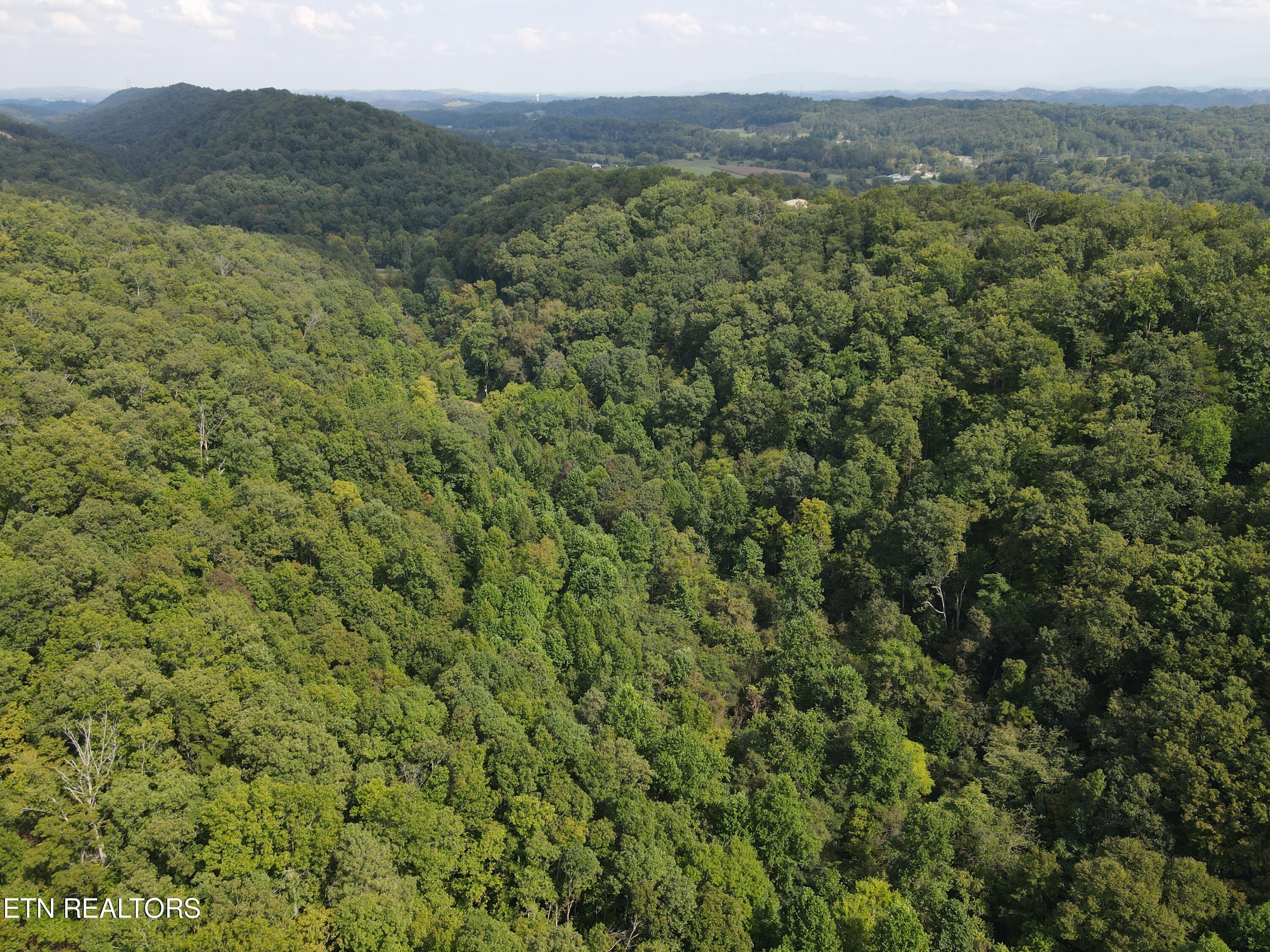 Porterfield Gap Road Seymour, TN 37865 - Photo 4 of 16 DJI_0318