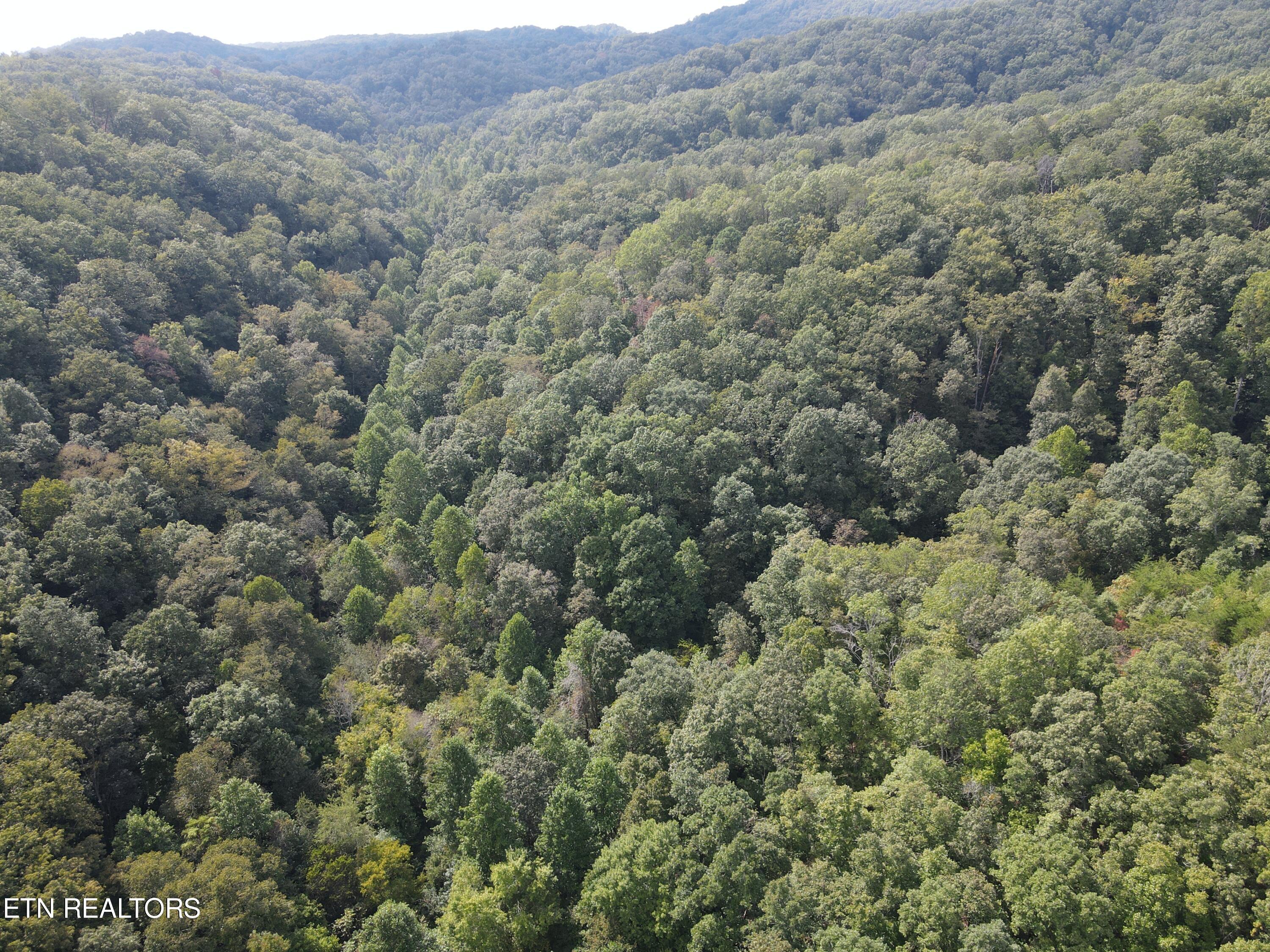 Porterfield Gap Road Seymour, TN 37865 - Photo 5 of 16 DJI_0319