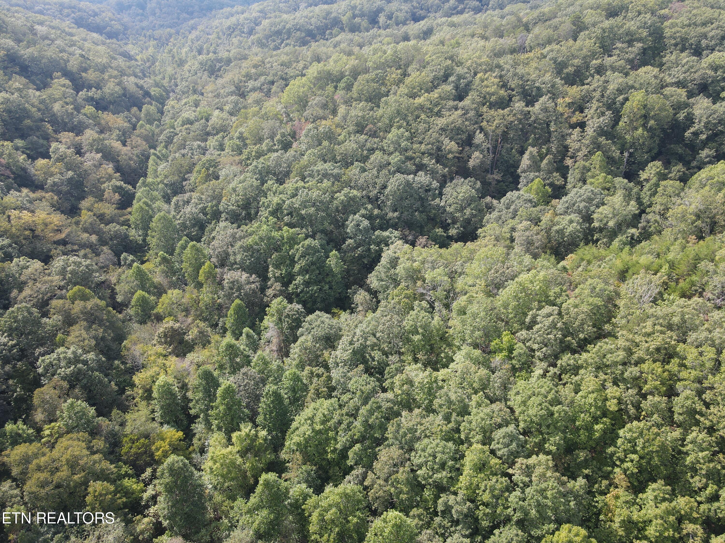 Porterfield Gap Road Seymour, TN 37865 - Photo 6 of 16 DJI_0320