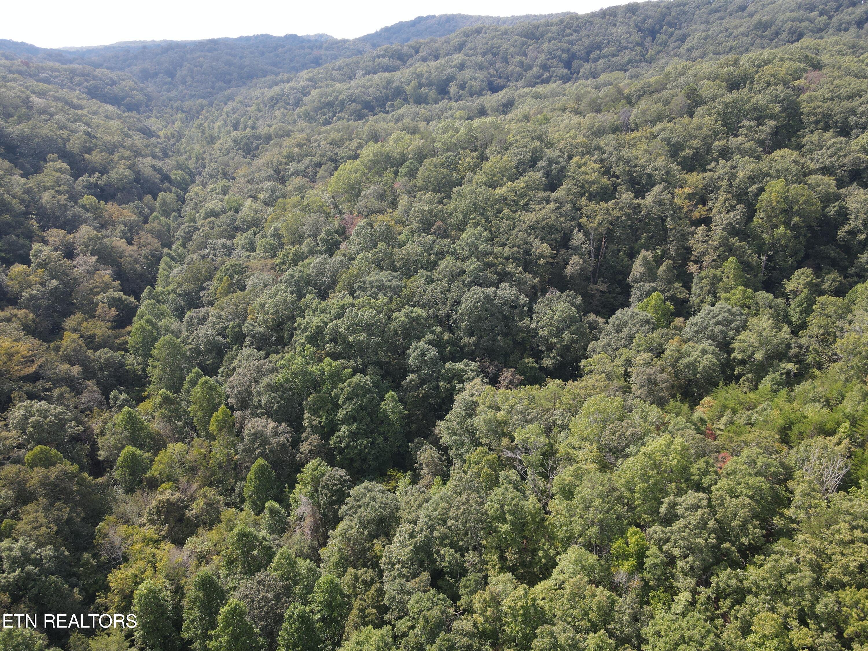 Porterfield Gap Road Seymour, TN 37865 - Photo 7 of 16 DJI_0321