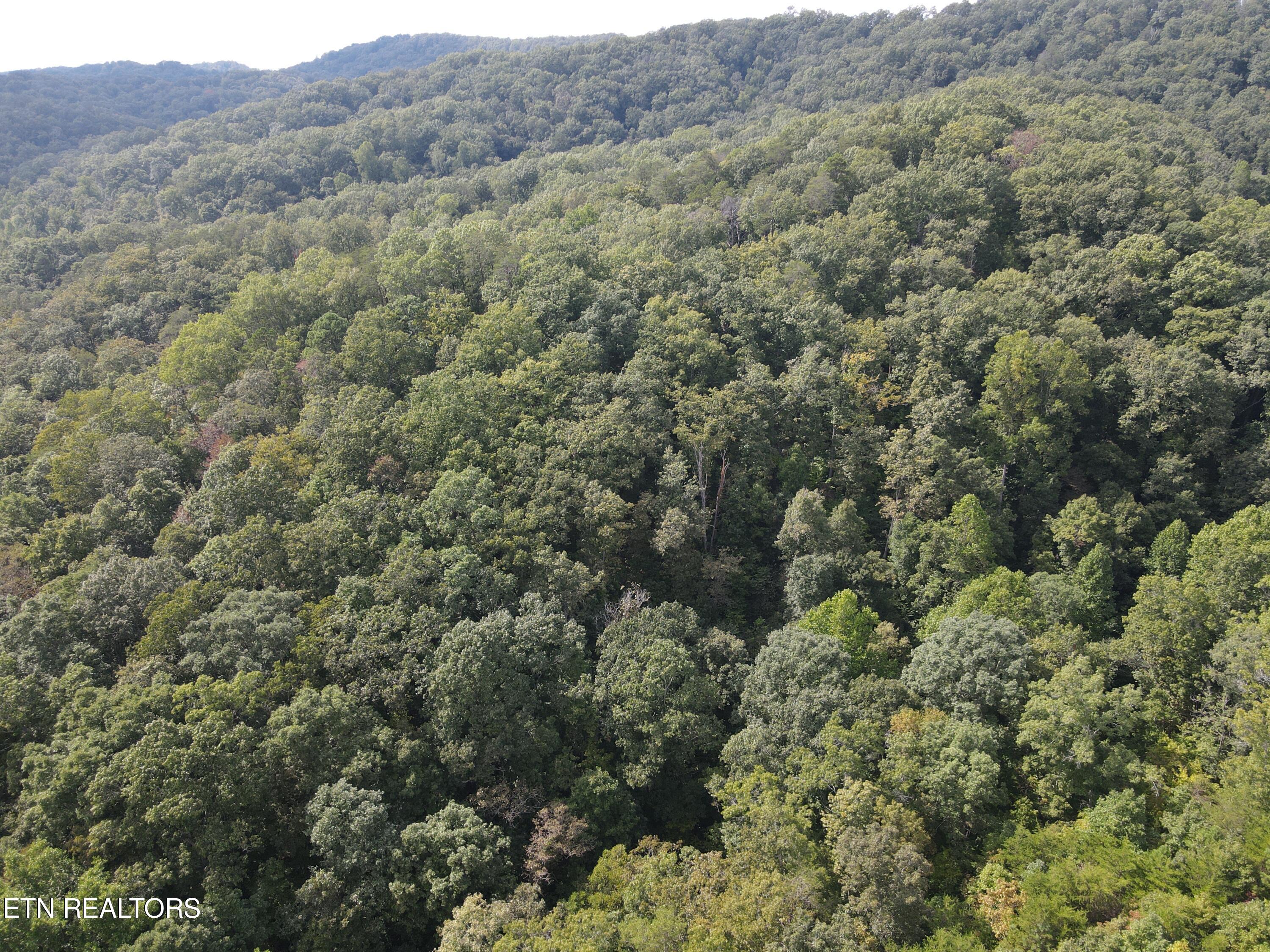 Porterfield Gap Road Seymour, TN 37865 - Photo 8 of 16 DJI_0322