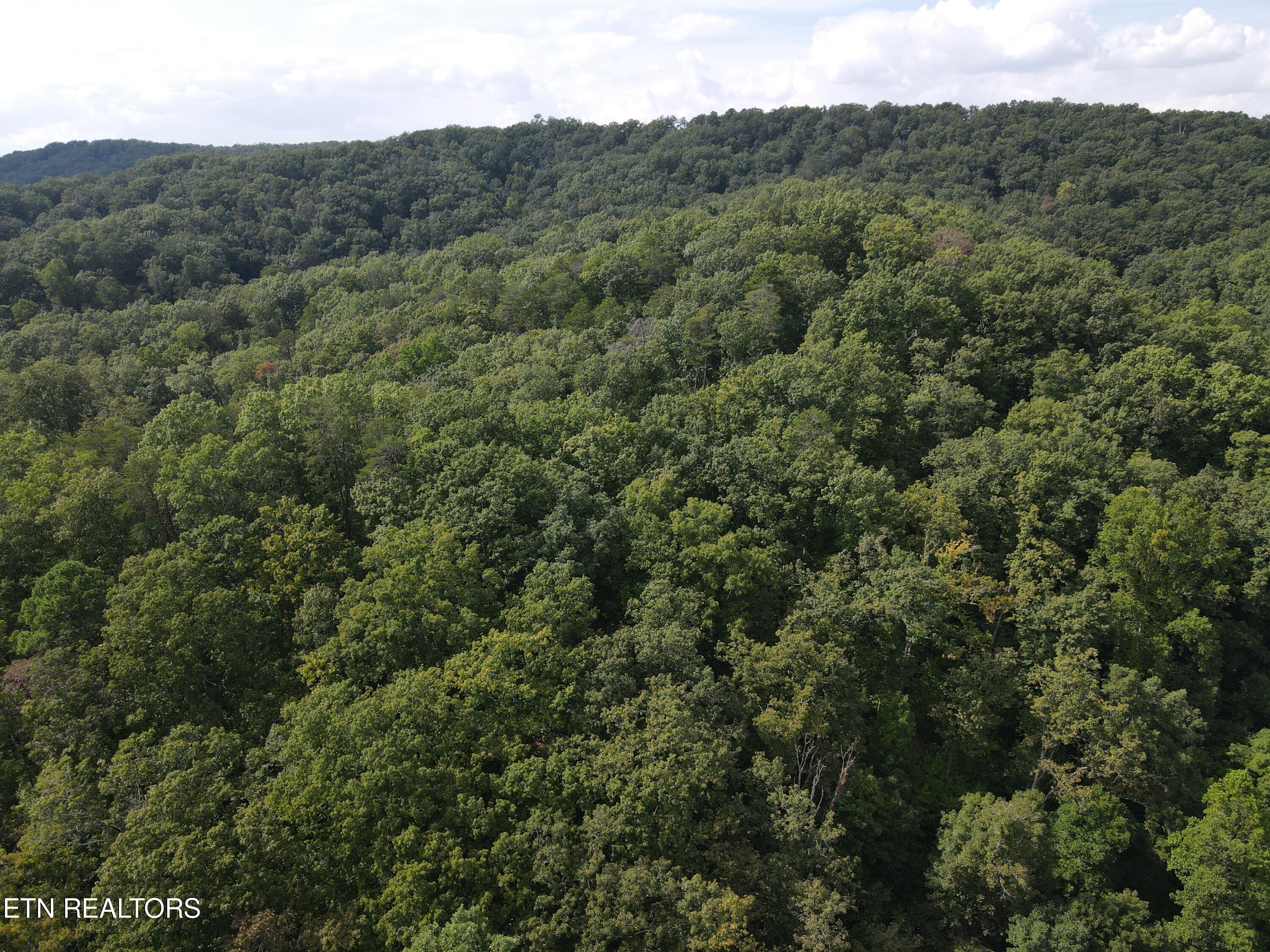Porterfield Gap Road Seymour, TN 37865 - Photo 9 of 16 DJI_0323
